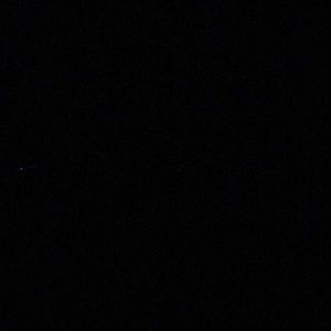 Meet your Posher, Jade